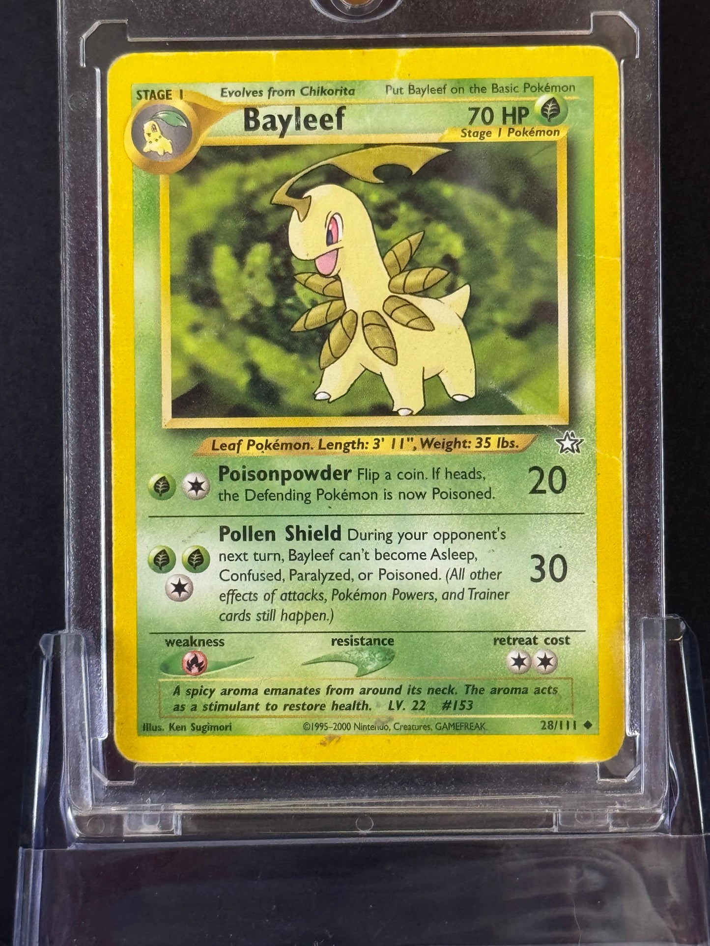 Pokémon Bayleaf #28