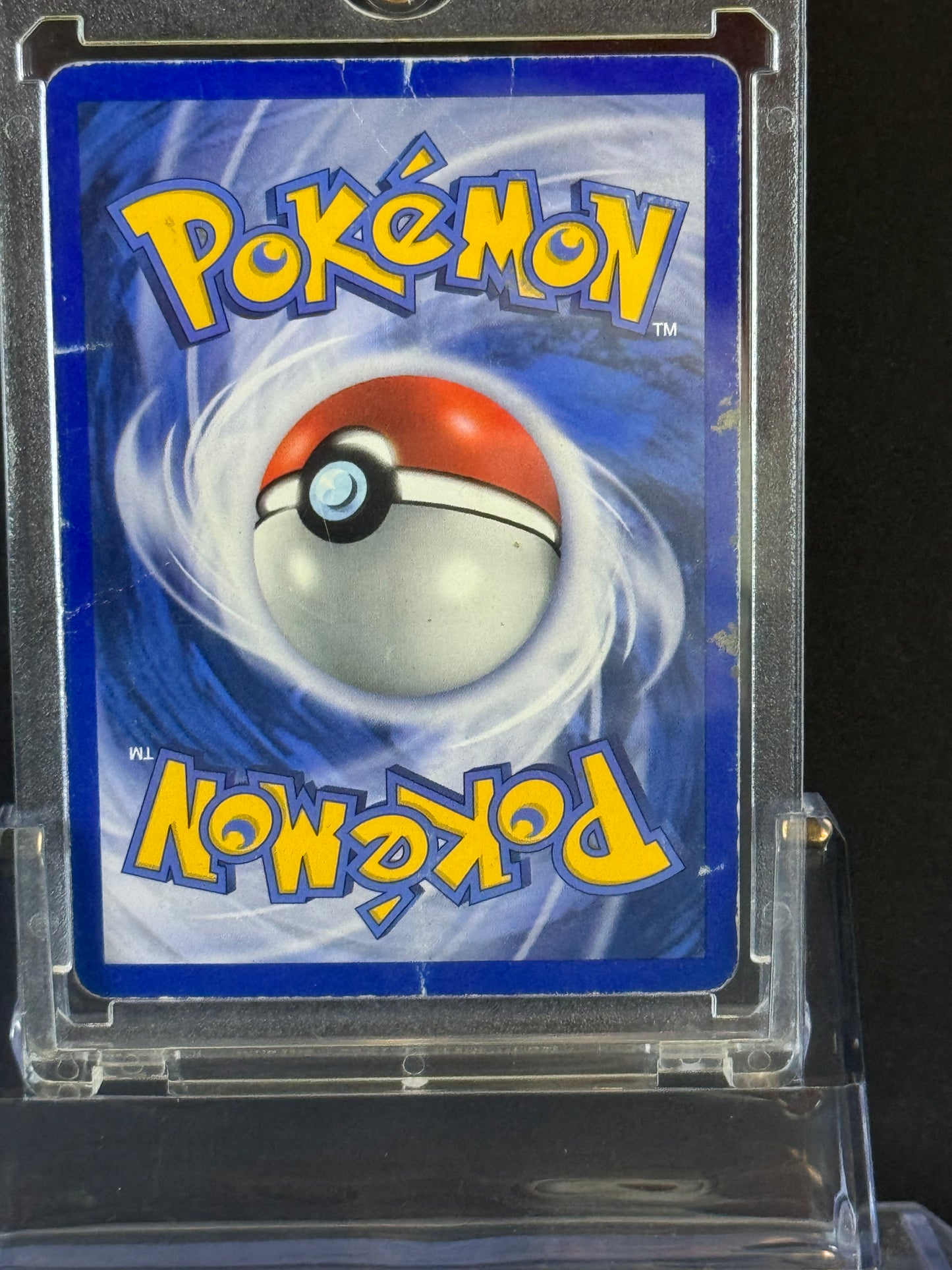 Pokémon Bayleaf #28